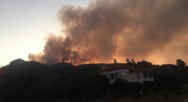 Muğla Ula'daki yangında 50 hektar ormanlık alan zarar gördü