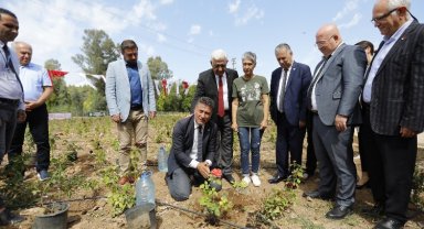 Muğla'da 'tıbbi bitkiler' bahçesi hizmete açıldı