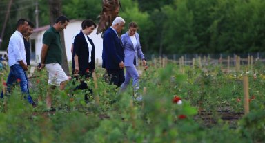 Muğla'da Tıbbi Bitkiler Koleksiyon Bahçesi'ne yakın mercek