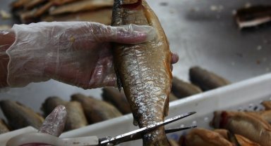 Su ürünlerinin zirvesinde Muğla ve İzmir var