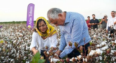 Türkan Şoray, kendi adının verildiği pamuğun hasadına katıldı