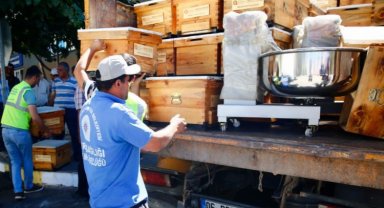 Üreticilere arı kovanı ve hamur yoğurma makinesi