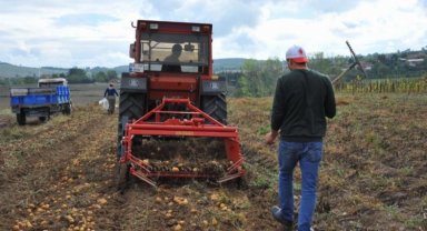 11 bin 456 çiftçiye fide, fidan ve tohum desteği