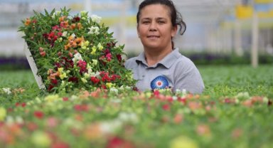 3 milyon çiçek sokakları süsleyecek