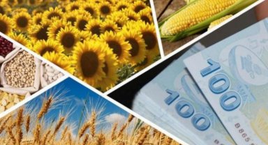 425 milyon liralık tarımsal destek hesaplarda