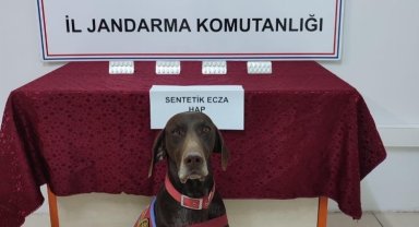 Adıyaman'da narkotiğin hassas burnu Leydi yakaladı!