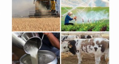 Bakan açıkladı: Çiftçi ödemeleri bugün yapılacak