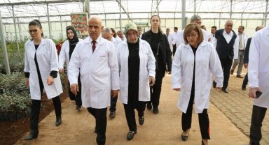 Bakan Kirişci Gaziantep serasında hasat yaptı