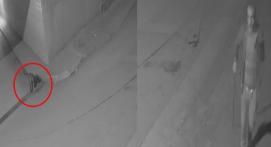 Bursa Gemlik'te mazgal hırsızları kameraya yakalandı