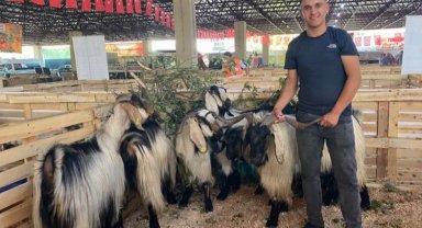 Bursa Mustafakemalpaşa'da teknoloji ile hayvancılığı buluşturan festival