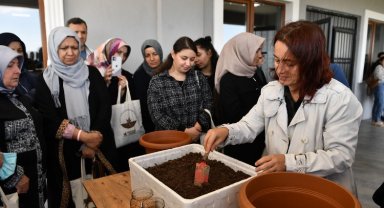 Bursa Osmangazi'de sebzeler balkonlarda yeşerecek