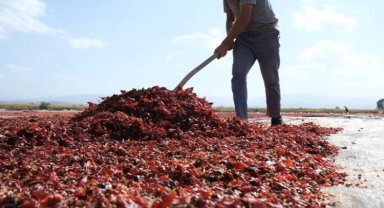 Bursa Ovaazatlı'nın toz biberi dünya mutfaklarında