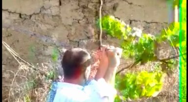 Bursa Yenişehir'de doğaya saygı çağrısı