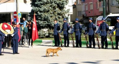 Bursa Yenişehir'de gülümseten anlar
