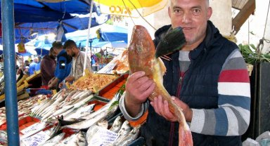 Bursa Yenişehir'de kırlangıç balığı ilgisi