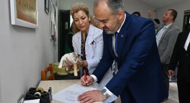 Bursa'da Başkan Aktaş, yavru kediyi sahiplendi
