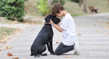 Can dostları 'Sahiplen İstanbul'