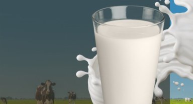 Çiğ süt zammına 'destek primi' katkısı