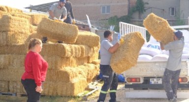 Eskişehir'de çiftçiye yulaf ve arpa balyası desteği