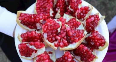 Gaziantep 2 yıldır yapılamayan festivale kavuşuyor