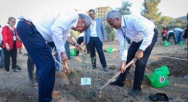 Gaziantep'te Girne Köyü'ne zeytin dikimi