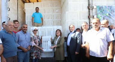 Gaziantep'te zeytin üreticilerine 40 bin adet hasat kasası