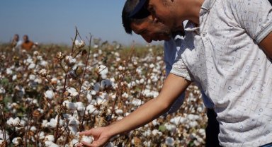 İki milli tohum görücüye çıktı