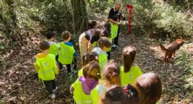İzmit'in 'Orman Okulu'nda minikler kendi hikayelerini yazıyor