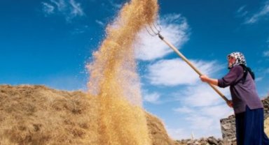 Kadın çiftçilere pozitif ayrımcılık