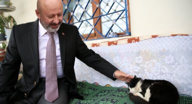 Kayseri Kocasinan'dan 'Kedi Kasabası'