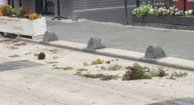 Kocaeli İzmit'te kamu mallarına zarar verildi!