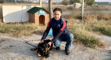 Manisa'da sokakta bir can daha yeni yuvasına kavuştu