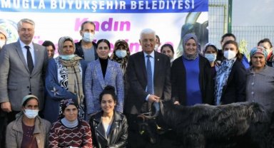 Muğla Yatağan'da kıl keçisi desteği