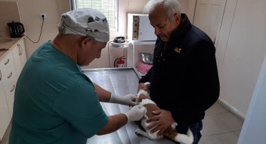 Mustafakemalpaşa'da kuduz aşısı kampanyası