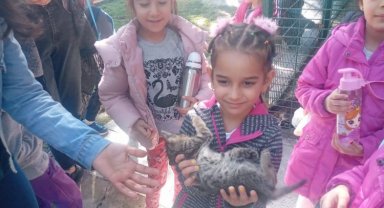 Öğrencilerden evcil hayvan parkına yoğun ilgi