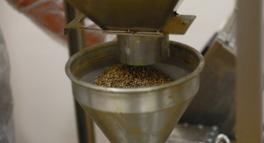 Sakarya 'şifa' üretiyor