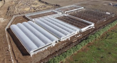 Şanlıurfa Siverek'teki sera projesinde çalışmalar hızlandı