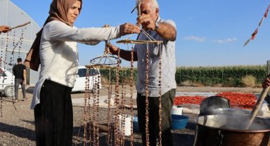 Şanlıurfa'da kadından üretime büyük katkı
