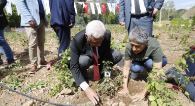 Tıbbi Bitkiler Koleksiyon Bahçesi hizmete açıldı