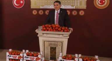 Ağrı'da 1925 rakımlı domates üretimi Antalya'ya rakip!