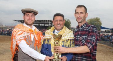 Aydın Umurlu'da deve güreşi heyecanı