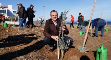Balıkesir Ayvalık'ta 'Mübadele Zeytinliği'ne ilk fidanlar