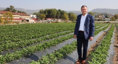 Başkan Savaş: "Hatay'da tüm uğraşımız çiftçimiz toprağını bırakmasın diye"
