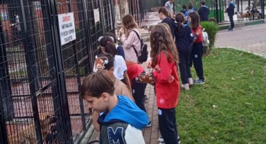 Bursa Osmangazi'de çocuklara hayvan sevgisi aşılanıyor