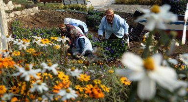 Bursa Osmangazi'nin 'Macera Bursa'sında kış çiçekleri