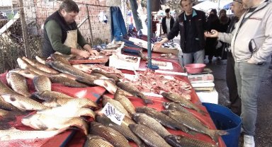 Bursa Yenişehir Balık Pazarı'na lodos etkisi