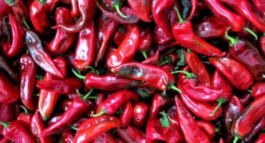 Bursa Yenişehir'in kırmızı biber reçeli kataloga alındı