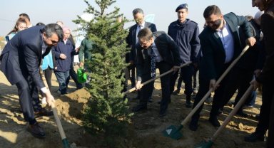 Bursa Yıldırım'da 250 fidan toprakla buluştu