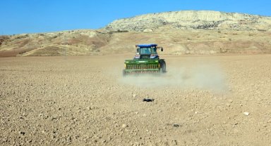 Çankırı'da buğday tohumu ekimi başladı