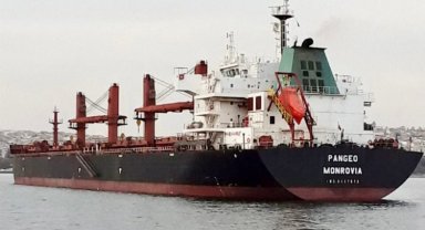 Dökme yük gemisi Tekirdağ'da karaya oturdu